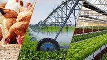 Ngành nông nghiệp được  hưởng lợi lớn nhất từ Hiệp định EVFTA