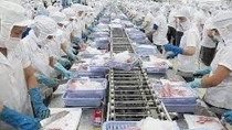 Xuất khẩu thủy sản 5 tháng đầu năm đạt trên 2,8 tỷ USD
