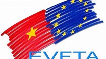 TT thủy sản 13/6: EVFTA mở ra cơ hội lớn cho xuất khẩu thủy sản Việt Nam