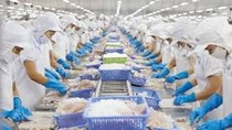 Hỗ trợ doanh nghiệp xuất khẩu nông, lâm, thủy sản vào thị trường EU