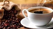 Cà phê Robusta chiếm 74% trong tổng lượng cà phê xuất khẩu của cả nước