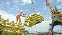 Mặt hàng gạo chiếm 30% tổng kim ngạch xuất khẩu hàng hóa sang Philippines