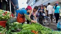 TT Rau quả ngày 31/7: Tiếp tục tăng giá do ảnh hưởng dịch Covid-19