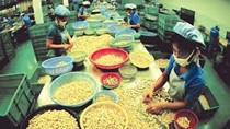 Nhập khẩu hàng hóa từ thị trường Achentina 7T/2020 đạt kim ngạch 1,87 tỷ USD