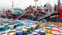 Thủy sản chiếm hơn 93% tổng kim ngạch nhập khẩu hàng hóa từ AiLen