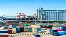 Kim ngạch nhập khẩu hàng hóa từ thị trường Brazil 7 tháng đầu năm đạt 1,4 tỷ USD  