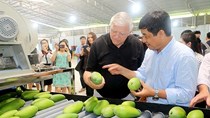 Xuất nhập khẩu nông - lâm - thủy sản Việt Nam - Hoa Kỳ: Tháo gỡ vướng mắc kiểm dịch