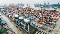 Kim ngạch nhập khẩu từ thị trường Áo tháng 8 tăng 44%