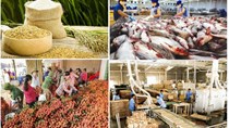 Tổng giá trị xuất khẩu nông lâm thủy sản 8 tháng đầu năm 2020 đạt 26,15 tỷ USD 