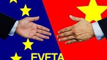 Một tháng sau EVFTA có hiệu lực, xuất khẩu thủy sản sang EU tăng nhẹ