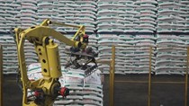Bức tranh tổng thể của ngành sản xuất thức ăn chăn nuôi mùa dịch Covid 19