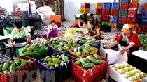 Xuất khẩu rau quả giảm 11%