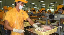 Kim ngạch nhập khẩu hàng hóa từ thị trường Ấn Độ đạt 3,7 tỷ USD