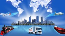 Kim ngạch nhập khẩu hàng hóa từ thị trường Áo 10 tháng đầu năm 2020 giảm 14%