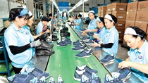 Hơn 40 doanh nghiệp da giày tham gia Triển lãm về công nghiệp hỗ trợ và chế biến