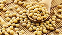 Thị trường TĂCN thế giới ngày 23/12/2020: Đậu tương trượt mốc cao nhất trong 6 năm