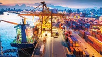 Kim ngạch nhập khẩu từ thị trường Anh 11 tháng 2020 giảm 22%