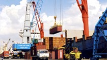 Kim ngạch nhập khẩu từ thị trường Đài Loan 11 tháng 2020 giảm 14%