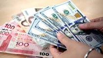 Tỷ giá Euro ngày 18/1/2021: Giảm tại đa số các ngân hàng