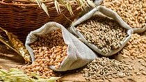Nhập khẩu lúa mì, bột mì và sản phẩm lúa mì thế giới từ năm 2016-2021