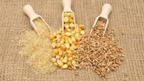 USDA dự báo nguồn cung lúa mì của Mỹ thắt chặt hơn cho năm 2021-22