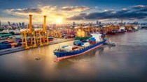 USDA Export Sales: Bán hàng ngô niên vụ 2020/21 ở mức thấp nhất 