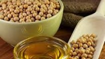 Nhập khẩu đậu tương của Trung Quốc từ Brazil trong 2 tháng đầu năm giảm mạnh