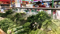 Giá thực phẩm rau quả ngày 6/4: Giá rau xanh quay đầu giảm