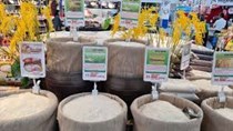 Giá lương thực thế giới tăng cao nhất kể từ năm 2014