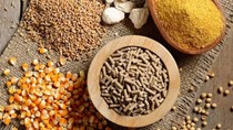 Giá ngũ cốc thế giới ngày 24/05/2021: Lúa mì chạm mức thấp nhất trong 1 tháng, ngô, đậu tương giảm 
