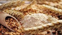 Giá ngũ cốc xuất khẩu của Ukraine giảm trong tuần qua
