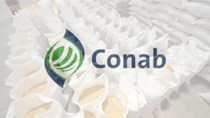 Brazil: CONAB tăng dự báo sản lượng đậu tương và giảm mạnh dự báo sản lượng ngô