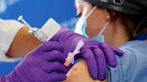 Bộ Y tế chuẩn bị kế hoạch tiêm vaccine Covid-19 dịch vụ