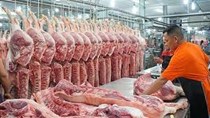 Trung Quốc bắt đầu sợ thừa thịt lợn