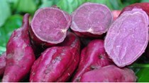 Nhiều nông sản tồn đọng, giá giảm mạnh