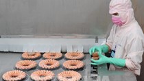 Hiện nay, tôm Việt Nam đang đứng vị trí số 1 tại hầu hết các thị trường, với kim ngạch vượt trội 