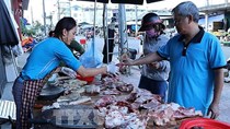 Tạm ngừng nhập khẩu lợn sống từ Thái Lan, giá lợn hơi trong nước vẫn giảm