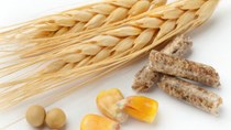 Đậu tương, ngô tăng phiên thứ 2 liên tiếp do  thời tiết khô hạn
