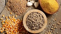 Giá ngũ cốc ngày 3/8: Đậu nành, ngô giảm khoảng 1% do lo ngại nhu cầu giảm