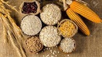 Giá lúa mì giảm do lo ngại về nguồn cung thế giới