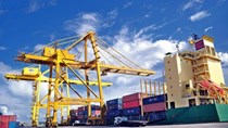 Ngành vận tải biển Trung Quốc đua nhau báo lãi lớn khi toàn cầu đối mặt với chi phí logistic tăng 