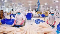 VASEP: Giãn cách đến 15/9 sẽ khiến chuỗi sản xuất thuỷ sản đứt gãy
