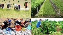 Nông nghiệp vượt khó để duy trì sản lượng