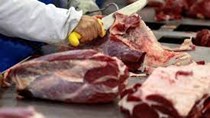 Nga hạn chế nhập khẩu thịt bò Brazil sau vụ bò điên
