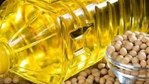 Giá dầu thực vật thế giới tăng mạnh, dầu đậu tương Trung Quốc cao kỷ lục 10 năm