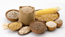 Giá ngũ cốc hôm nay 3/11: Lúa mì giảm, nhưng vẫn tồn tại mức cao gần 9 năm do lo ngại về nguồn cung