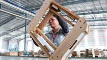 Doanh nghiệp gỗ đã kín đơn hàng đến hết quý III/2022
