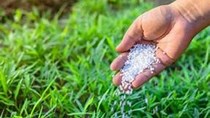 Giá 8 loại phân bón đồng loạt tăng, 4 loại lập kỷ lục mới