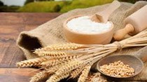 Giá ngũ cốc ngày 7/4/2022: Lúa mì, ngô, đậu tương đồng loạt giảm
