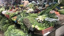 Giá các loại rau xanh tại thị trường Hà Nội duy trì ở mức cao